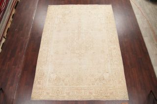Antique Geometric MUTED Beige Tan Distressed Oriental Area Rug Hand - Knotted 8x11 3