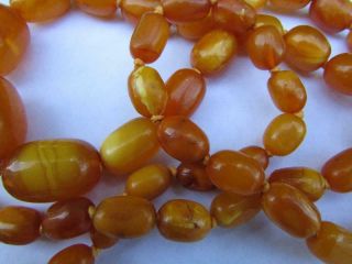 Fine Antique Art Deco Real Butterscotch Amber Beads 36 inch Necklace 64g 6