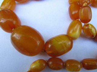 Fine Antique Art Deco Real Butterscotch Amber Beads 36 inch Necklace 64g 9