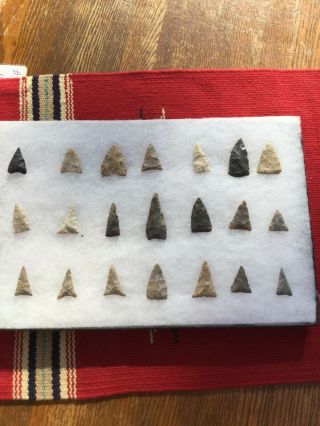 Indian Artifacts / 21 Fine Ohio Ft Ancient Triangle Points / Authentic Arrowhead