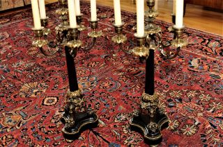 6 Light French Empire Style Marble & Bronze Candelabra ' s RARE Antiques 2