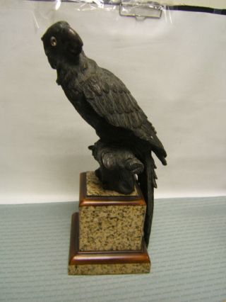 Antique Cast Bronze Parrot On Marble Base 16 3/4 " Tall Glass Eyes