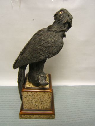 Antique Cast Bronze Parrot on Marble Base 16 3/4 