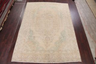 10x13 Antique MUTED Distressed Oriental Area Rug PALE PEACH Hand - Knotted Wool 2
