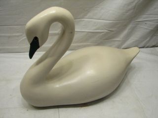 Vintage Hand Carved/painted White Swan Decoy/model Clark Glass Eye