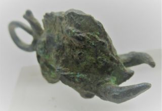 British Found Circa 100bc - 100ad Ancient Celtic Bronze Boar Amulet