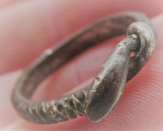 Ancient Celtic Silver Ring In The Form Of A Coiled Snake Circa 100ad