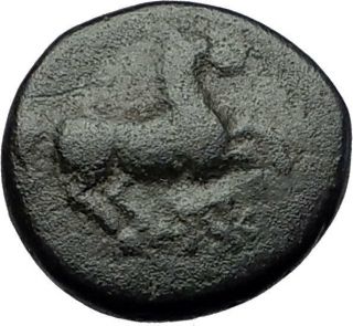 Maroneia In Thrace 400bc Ancient Greek Coin Horse Vine Grapes I60578