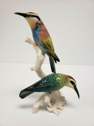 Rare Bee Eaters 7419 Vintage Karl Ens Porcelain Bird Figurine