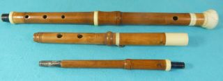 Rare Victorian Novelty System Cane Walking Stick Flute Musical Instrument C1890 2