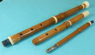 Rare Victorian Novelty System Cane Walking Stick Flute Musical Instrument C1890 4