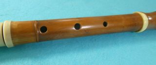 Rare Victorian Novelty System Cane Walking Stick Flute Musical Instrument C1890 6