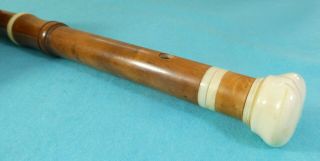 Rare Victorian Novelty System Cane Walking Stick Flute Musical Instrument C1890 7