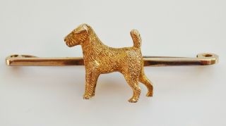 Fine Antique Victorian 9ct Gold Airedale Terrier Dog Brooch c1890 in Fitted Case 3