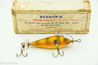 Heddon Fat Body 100 Lure Early Perch Cup Rig 3t 1 Bw In White Pasteboard Box Sk1