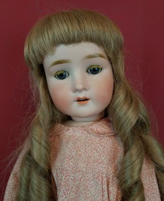 Antique German Bisque Socket Head Doll Gans Seyfarth Jointed Body 25 " Darling