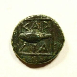 Kardia In Thrace 350bc Barley Corn Lion Authentic Ancient Greek Coin Rare