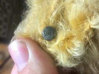 Rare Top Antique Mohair Steiff Teddy Bear - Early button in its ear 1920s 30s 2
