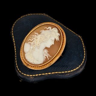 Antique Vintage Nouveau 14k Gold Conch Shell Mythological Cameo 2.  45 " Pin Brooch