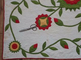 Oh My Fantastic & Early 19th c Antique Democrat or Whig Rose QUILT 87x79 10