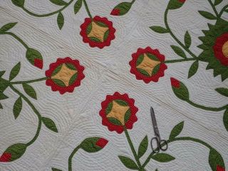 Oh My Fantastic & Early 19th c Antique Democrat or Whig Rose QUILT 87x79 3