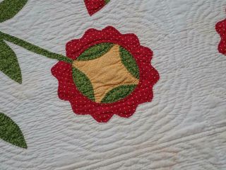 Oh My Fantastic & Early 19th c Antique Democrat or Whig Rose QUILT 87x79 9