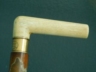 Vintage Old Antique Victorian Walking Stick Cane 14k Gold Band Handle