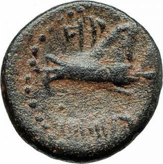 Arados In Phoenicia Authentic Ancient 206bc Greek Coin W Zeus & Galley I75658