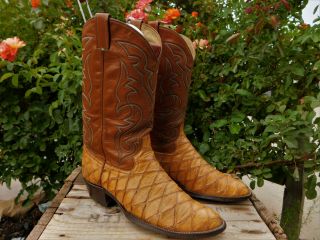 Cowboy Western Boots Rare Vintage Snakeskin? With Color 11d