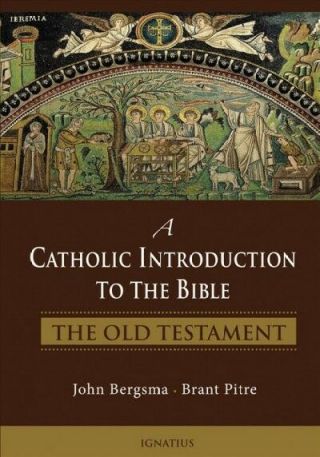Catholic Introduction To The Bible : The Old Testament,  Hardcover By Bergsma, .