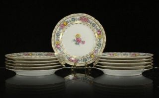 Stunning Antique Set Of 11 Hand Painted Dresden Ambrosius Lamm Luncheon Plates