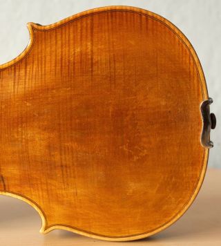 old violin 4/4 geige viola cello fiddle label SANCTUS SERAPHIN 10