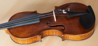 old violin 4/4 geige viola cello fiddle label SANCTUS SERAPHIN 11