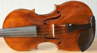 old violin 4/4 geige viola cello fiddle label SANCTUS SERAPHIN 3