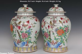 Fine Chinese Pair Famille Rose Porcelain Guava Flower And Bird Pots