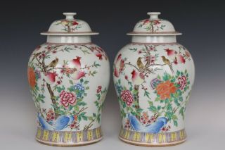 Fine Chinese Pair Famille Rose Porcelain Guava Flower and Bird Pots 2