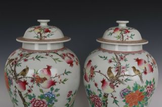 Fine Chinese Pair Famille Rose Porcelain Guava Flower and Bird Pots 3