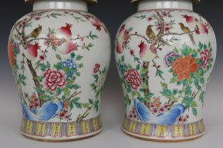 Fine Chinese Pair Famille Rose Porcelain Guava Flower and Bird Pots 4