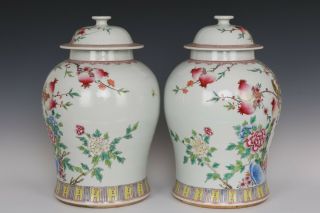 Fine Chinese Pair Famille Rose Porcelain Guava Flower and Bird Pots 5