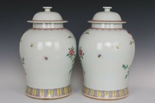 Fine Chinese Pair Famille Rose Porcelain Guava Flower and Bird Pots 6