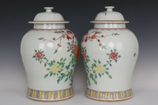 Fine Chinese Pair Famille Rose Porcelain Guava Flower and Bird Pots 7
