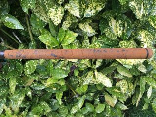 ANTIQUE FORGAN P.  O.  W.  FEATHER PLUMES HICKORY SHAFTED LONG NOSE DRIVER. 9