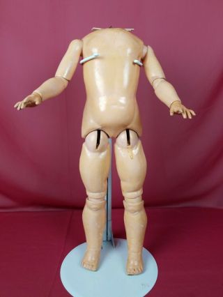 Antique German Bisque Socket Head Doll Body Composition Fully Jointed 19 Inch