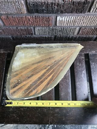 vintage wood surfboard fin Long Board Vintage Surfboard Estate Find 1960’s 8