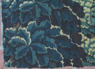 A Great Antique Verdure Tapestry Fragment 3