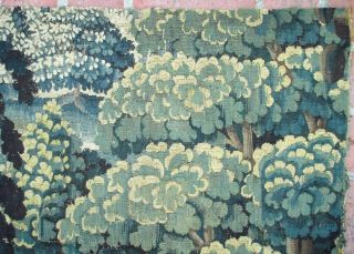 A Great Antique Verdure Tapestry Fragment 4