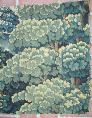 A Great Antique Verdure Tapestry Fragment 5