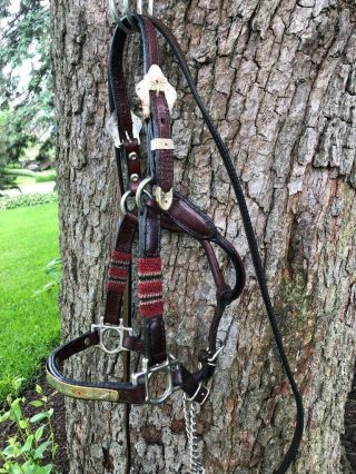 Circle Y Vintage Weanling Silver Western Show Horse Halter W Lead