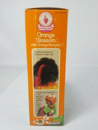 Vintage Strawberry Shortcake Orange Blossom Berrykin Doll & Orange Berrykin 8