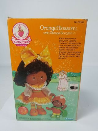 Vintage Strawberry Shortcake Orange Blossom Berrykin Doll & Orange Berrykin 9